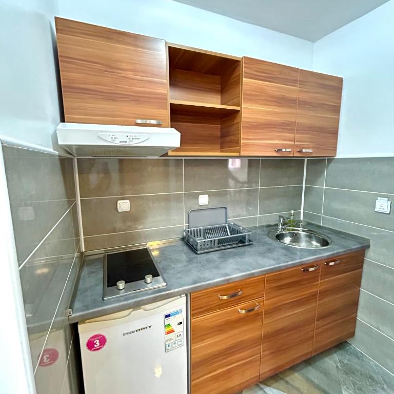 Vila Markovic-a - Deluks Studio - 5