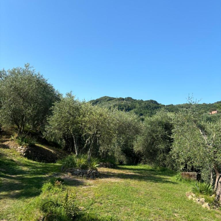 Le Capanne di Torre - Casa con 3 Camere da Letto - 6