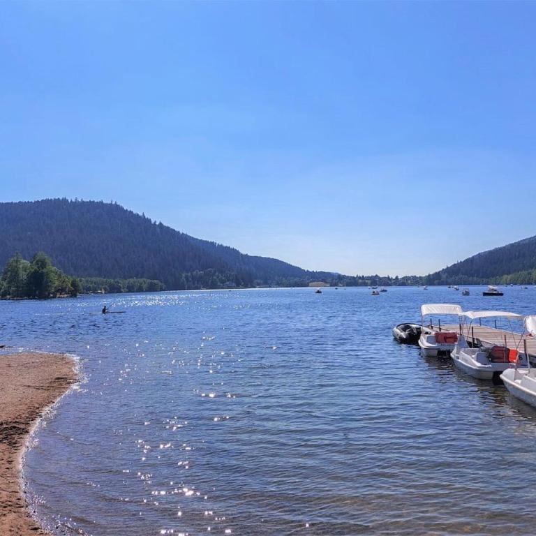 Gorgeous Home In Gérardmer With Sauna - Maison de Vacances 5 Chambres - 27