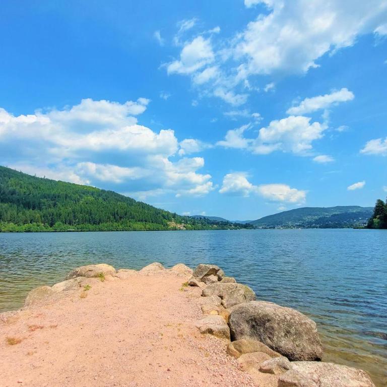 Gorgeous Home In Gérardmer With Sauna - Maison de Vacances 5 Chambres - 26