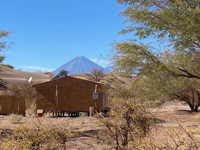 Dunas de tulor - Apartamento de 2 dormitorios - 17