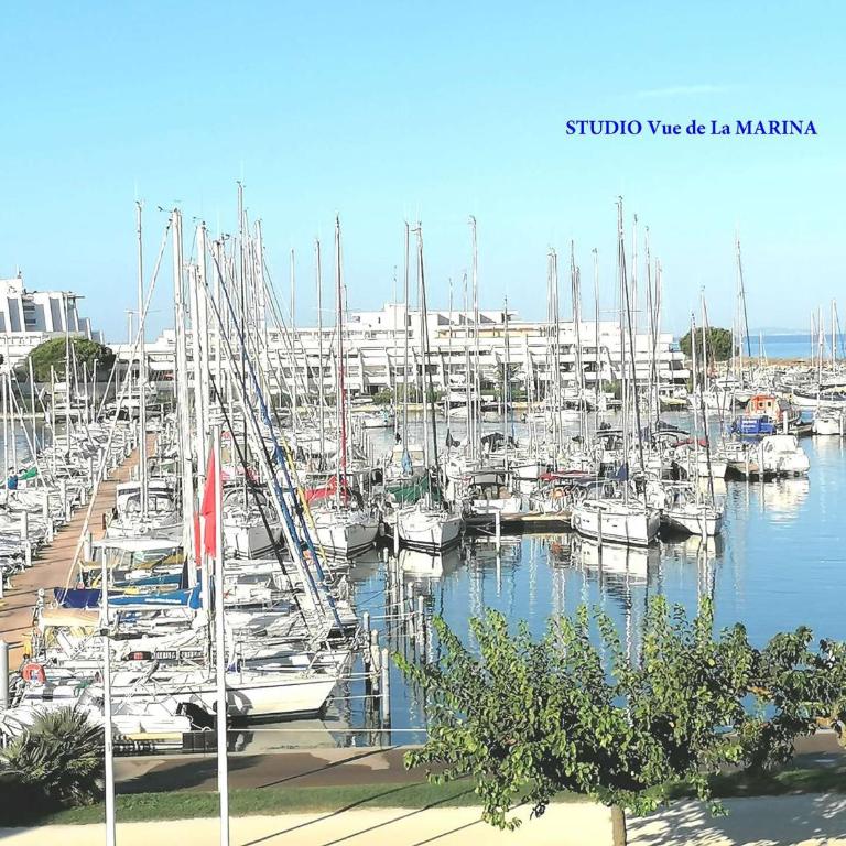 Studio refait avec piscine et clim, proche plage et commerces - FR-1-731-81 - Studio - 2