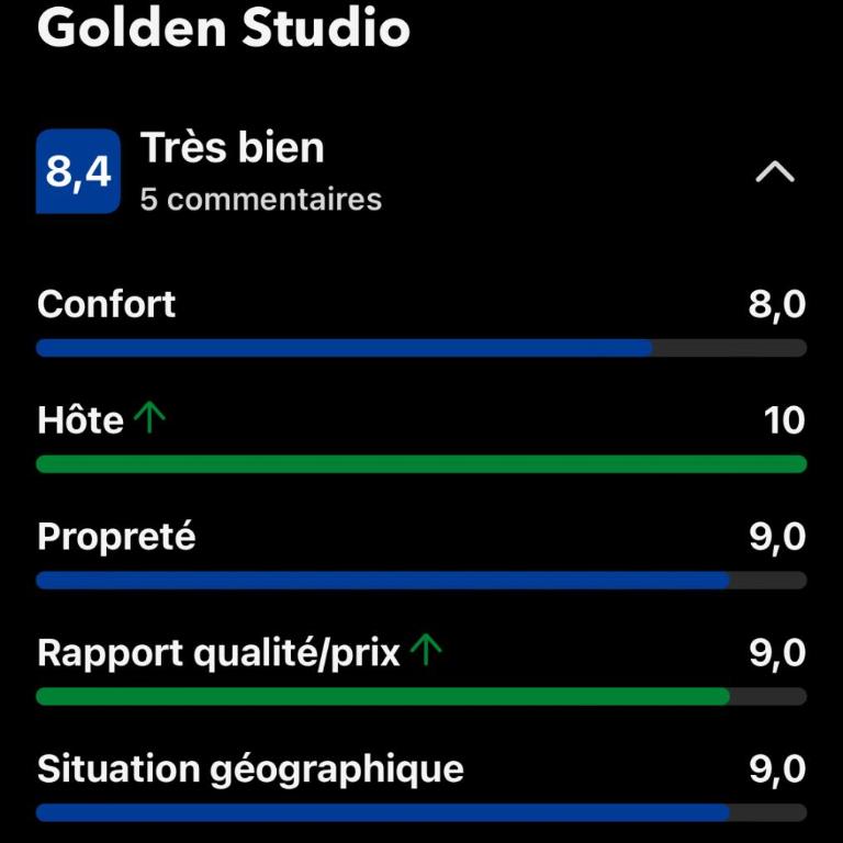 Paris Golden Studio - Appartement 1 Chambre - 33