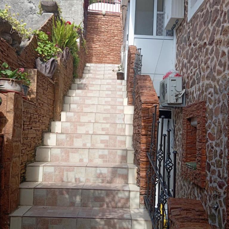 Apartman Studio Nedović - Apartman - Prizemlje - 31
