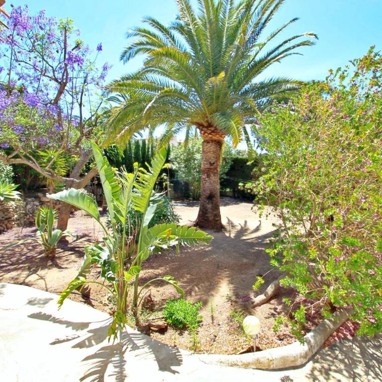 Mimosa - pretty holiday property with private pool in Moraira - Villa with Private Pool - 14