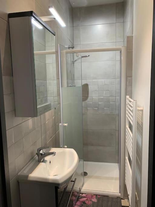 GITE du Phoque Gris - Apartment - Erdgeschoss - 12