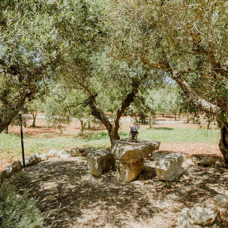 Antica Tenuta dei Trulli - Casa Vacanze con Piscina - 60