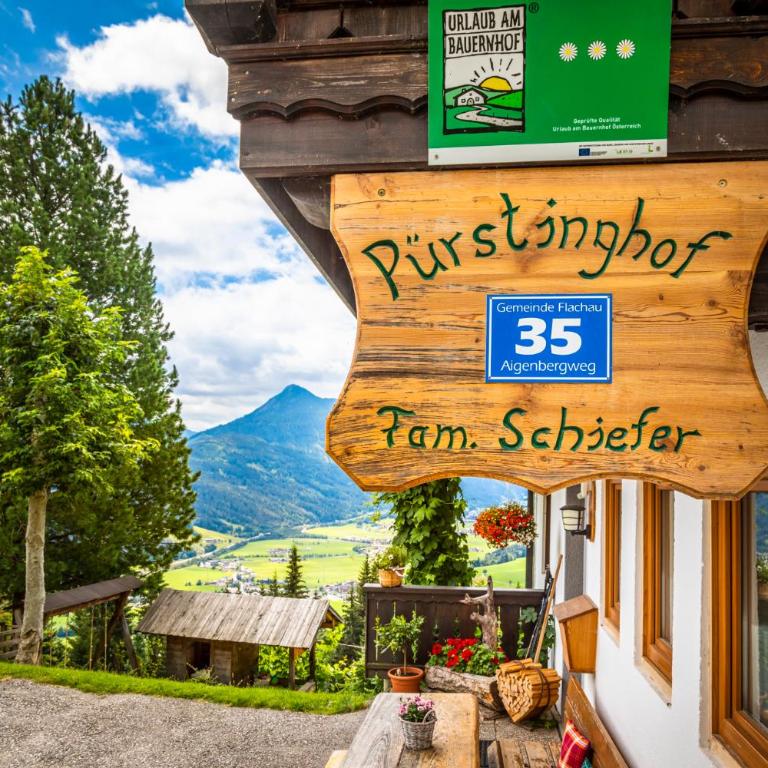 Pürstinghof - Apartment mit 1 Schlafzimmer, Balkon und Bergblick - 11