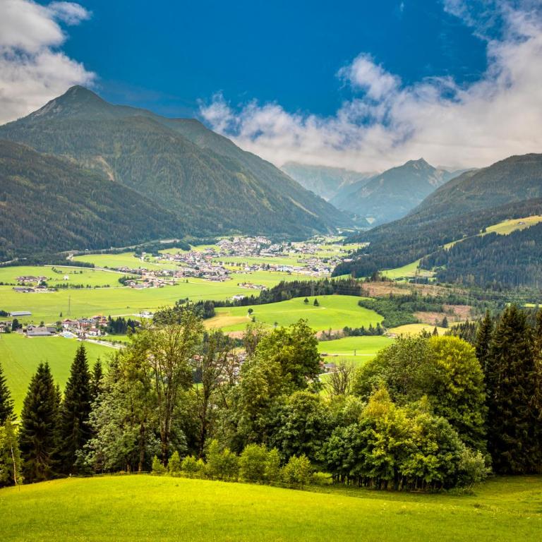 Pürstinghof - Apartment mit 1 Schlafzimmer, Balkon und Bergblick - 10