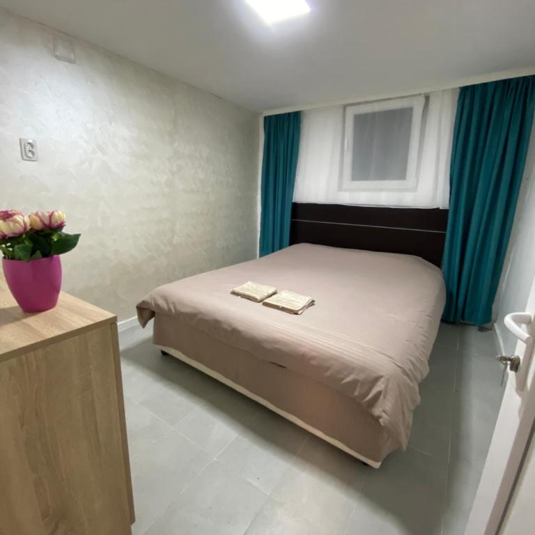 Dunavska lepotica 1 - Apartman sa Pogledom na Vrt - 5