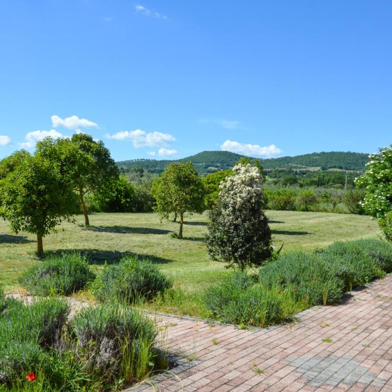 Podere La Damesca - Agriturismo "La Fraschetta" - Camera Tripla con Accesso Disabili - 6