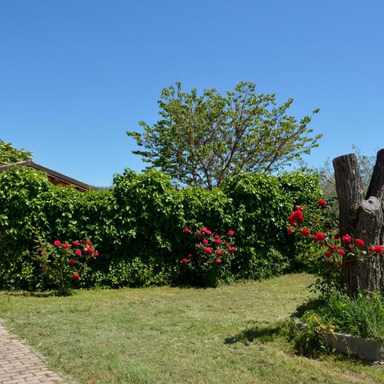 Podere La Damesca - Agriturismo "La Fraschetta" - Camera Familiare con Vista Giardino - 12