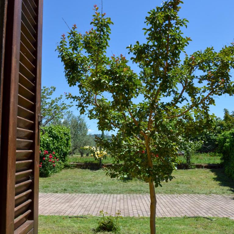 Podere La Damesca - Agriturismo "La Fraschetta" - Camera Familiare con Vista Giardino - 12