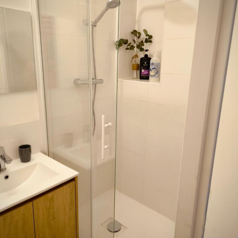 Le King & Suites étoilées - Deluxe Apartment - 21
