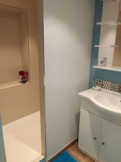 Très joli T2 indépendant 250 m2 jardin privatif - Apartamento de 1 dormitorio - 2