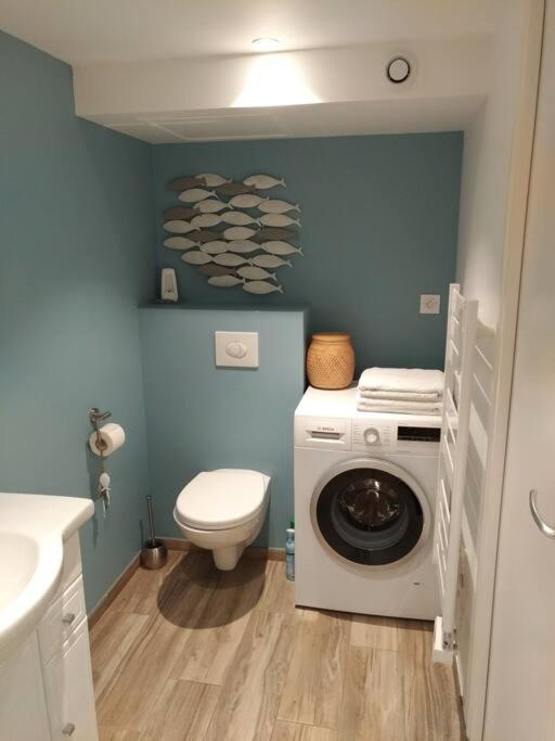 Très joli T2 indépendant 250 m2 jardin privatif - Apartamento de 1 dormitorio - 8