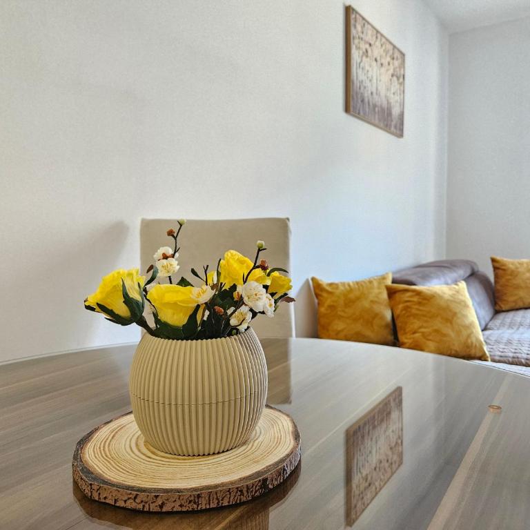 Luča apartman - Apartman sa 1 Spavaćom Sobom - 7