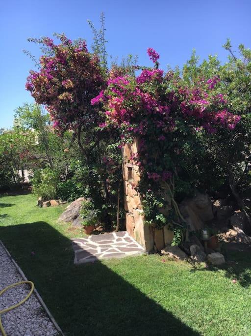 Villa Silvia - Vista mare a Capo Coda Cavallo - Villa con Vista Mare - 20
