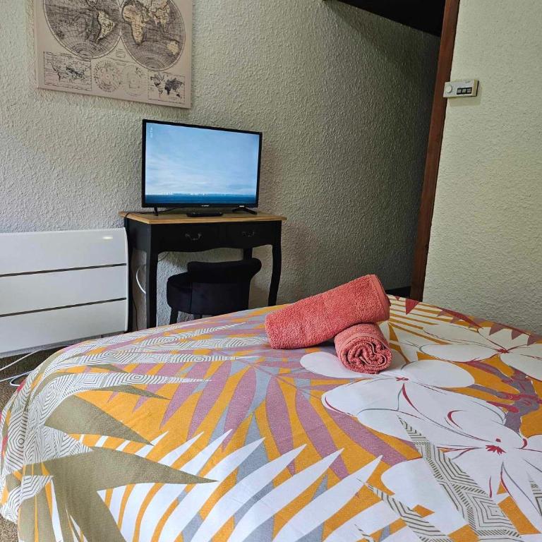 Cinéma, Chambre Privée Au Le Refuge Du Phoenix - Chambre Double - Vue sur Montagne - 12