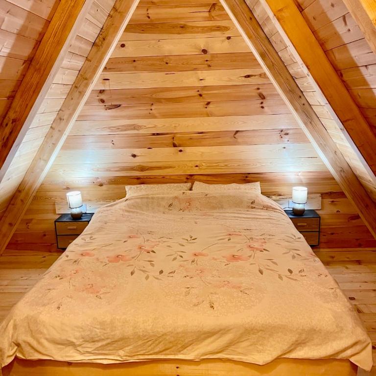 Apartman Djina Zabljak - Two-Bedroom House - 21
