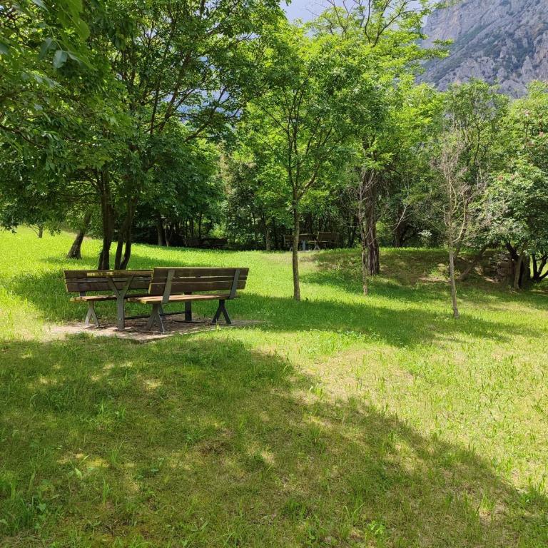 Al Nido - Apartment - 50