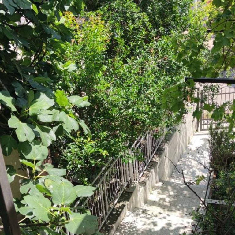 Summer Paradise, Bar - Apartman sa 1 Spavaćom Sobom - 5