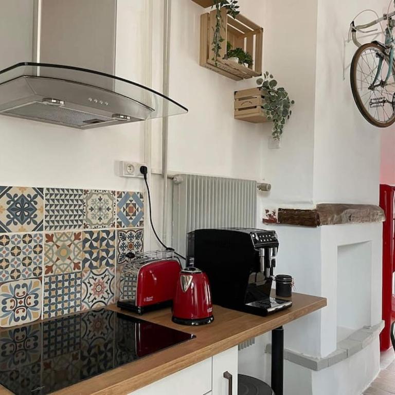 Appartement 3 chambres en hyper centre de Grenoble - Appartamento con 3 Camere da Letto - 12