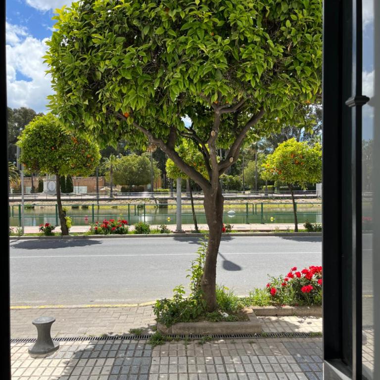 Casa Ribera Centro - Apartamento de 2 dormitorios - 3