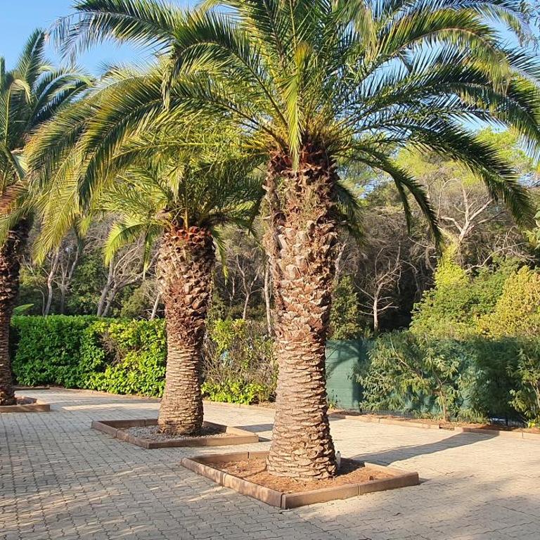 Villa HARMONY - Apartamento con vistas al mar - 49