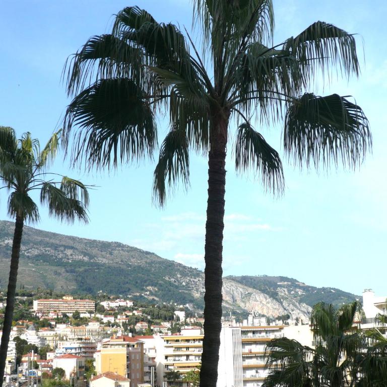Grand 2 pièces CLIMATISE, TERRASSSE VUE MER & PROCHE FETE DU CITRON - One-Bedroom Apartment with Sea View and Balcony - 2