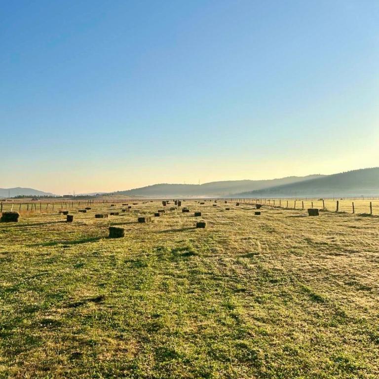 Apartman Djina Zabljak - Two-Bedroom House - 30