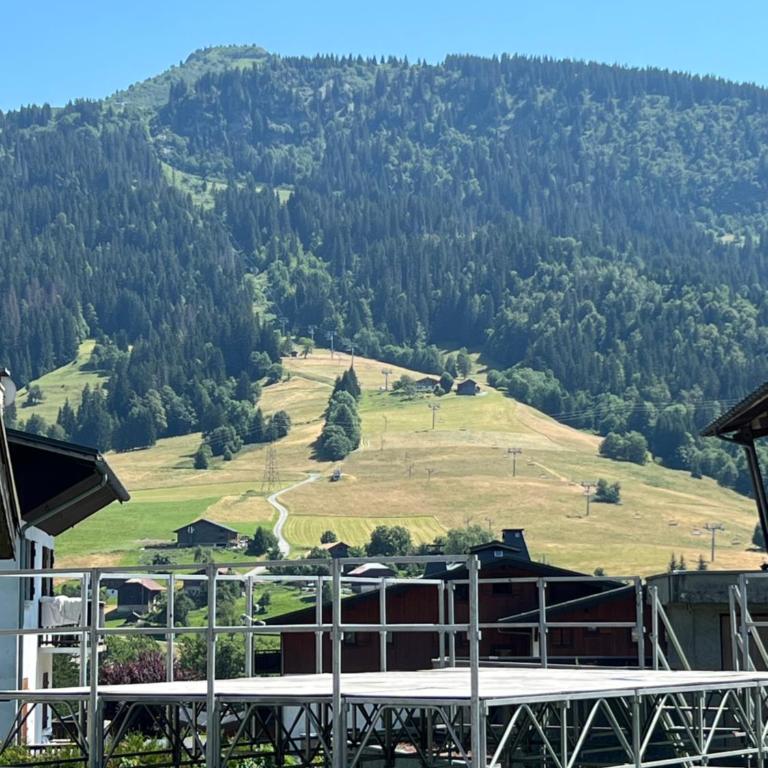 Praz sur Arly - proche des pistes et de Megève - Appartement 1 Chambre - 15