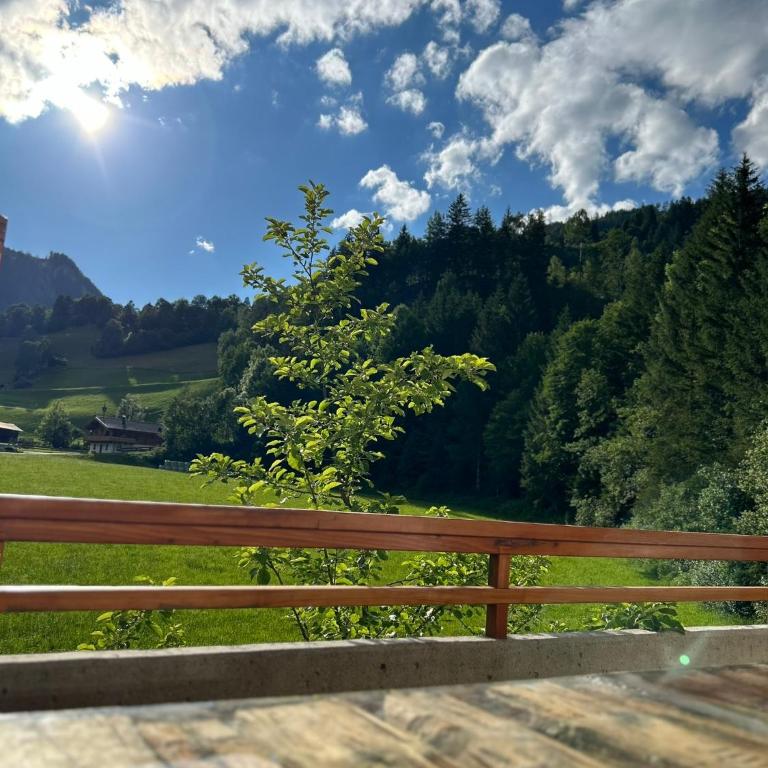 Bergblick Apartment - Appartement avec Vue sur la Montagne - 3