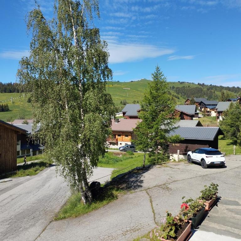 Les Saisies côté Bisanne appartement dans chalet LE Népal - Apartment mit 1 Schlafzimmer - 18