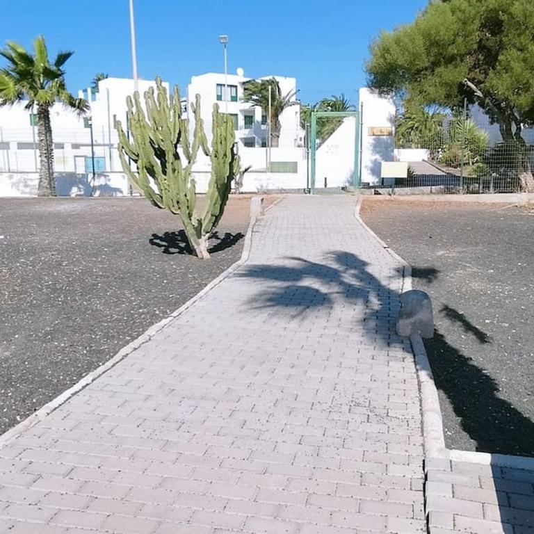 BrisaMar Costa Teguise - Apartamento de 2 dormitorios - 4