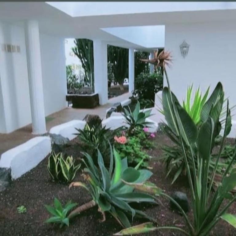 BrisaMar Costa Teguise - Apartamento de 2 dormitorios - 14