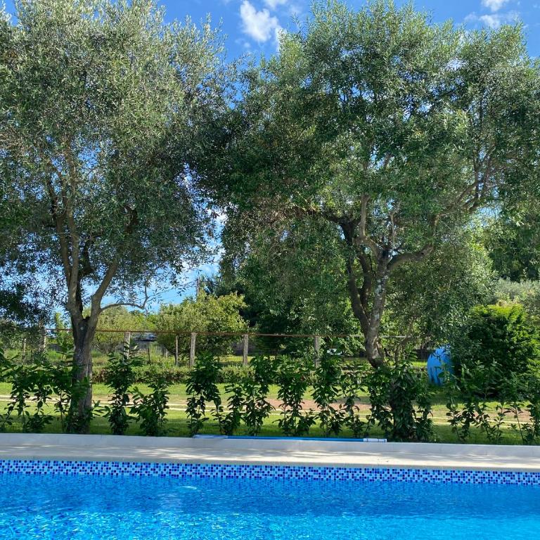 Vila CarpeDiem - Villa - 5