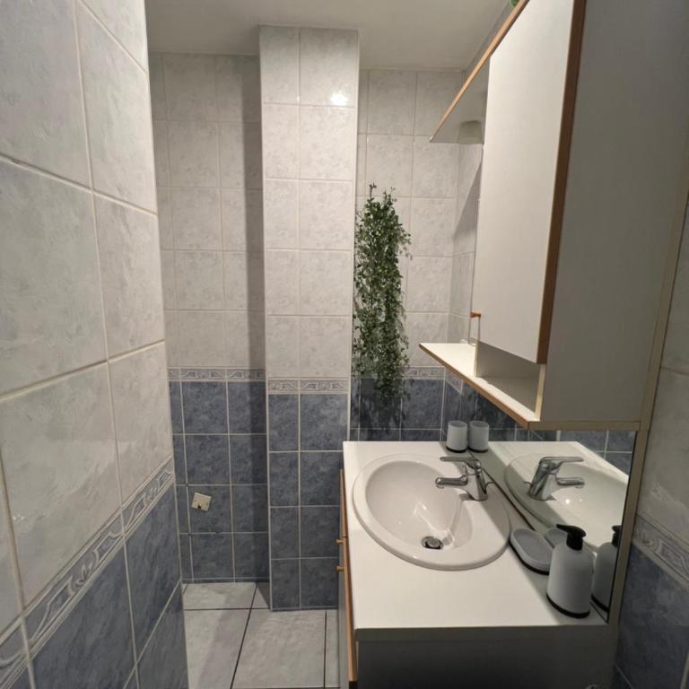 Le refuge Bleu et Or - Appartement 1 Chambre - 14