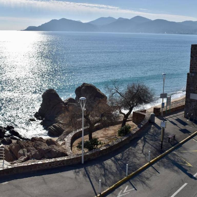 Studio bord de mer - Appartement 1 Chambre - 4