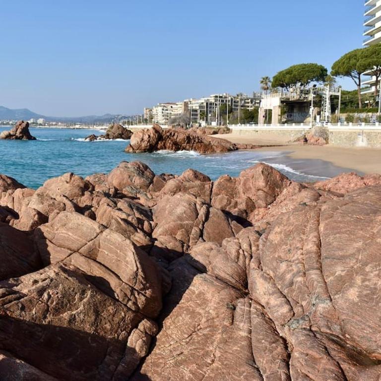 Studio bord de mer - Appartement 1 Chambre - 13