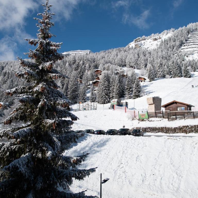 Appartement au centre du village à Anzère - Apartment mit 2 Schlafzimmern - 29