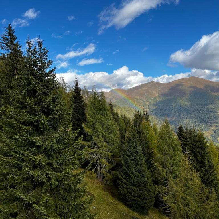 Apartment RELAX Bad Kleinkirchheim - Apartment mit 2 Schlafzimmern - 30