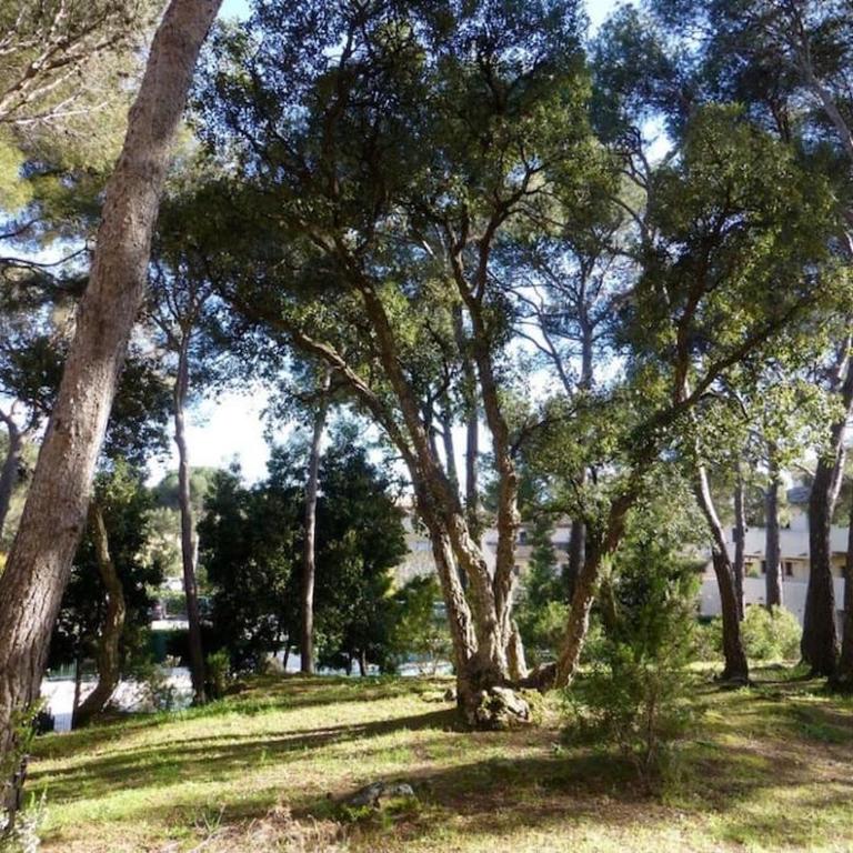 Hameau des Pins - Plage & Piscine - Clim & Wifi - Apartment mit 1 Schlafzimmer - 13