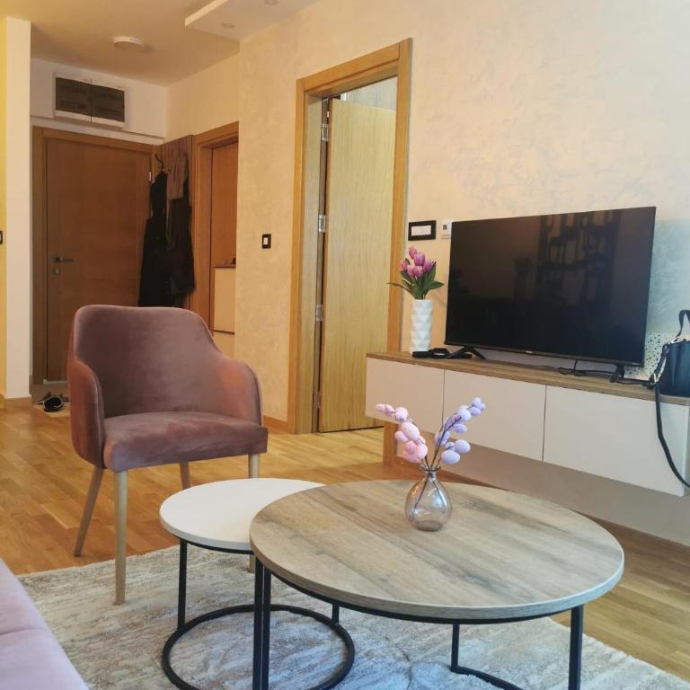 Apartman Lazar - Apartman sa 1 Spavaćom Sobom - 12