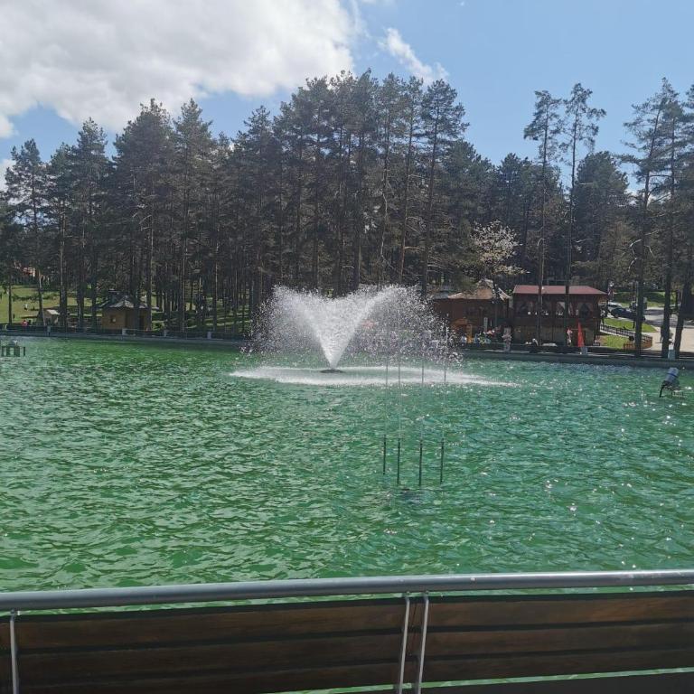 Apartman Lazar - Apartman sa 1 Spavaćom Sobom - 19