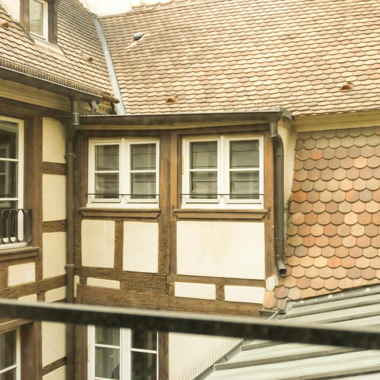 Charming Attic Duplex in the Heart of Strasbourg - Appartamento su 2 Livelli - 9