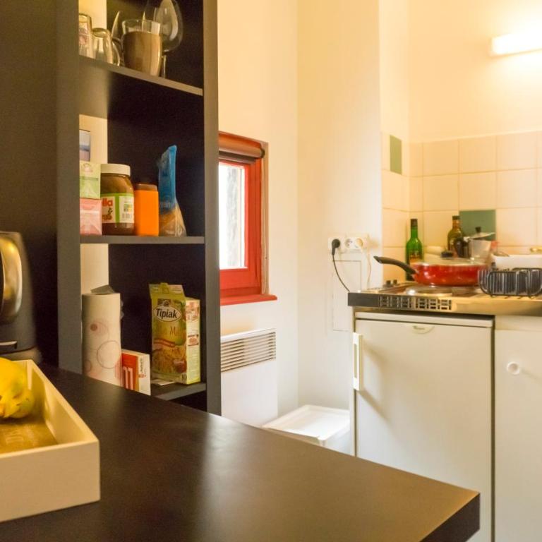 Charming Attic Duplex in the Heart of Strasbourg - Appartamento su 2 Livelli - 6