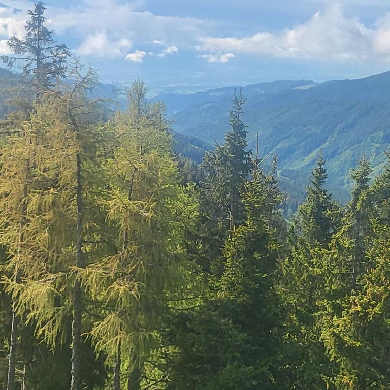 KlippitzStar mit Panoramablick - Chalet mit 2 Schlafzimmern - 26