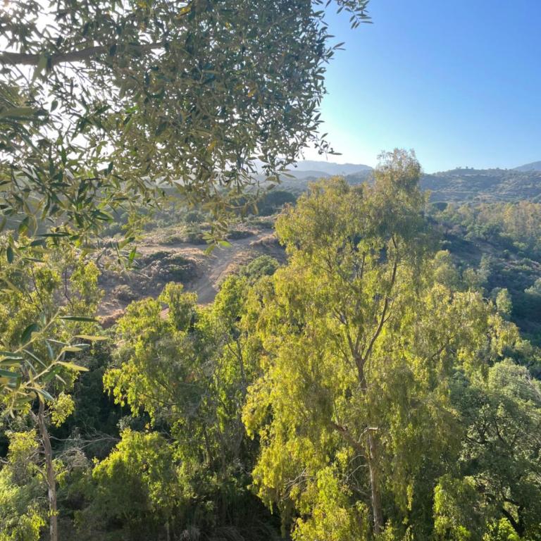 Apartamento en Elviria, Marbella - Apartamento de 1 dormitorio - 5