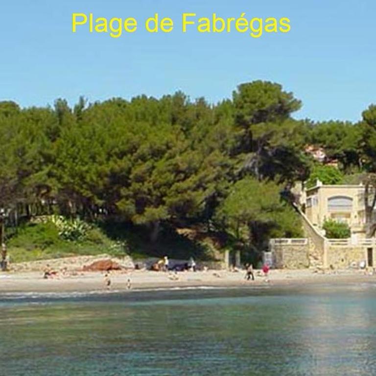 chambre et salle de bain indépendantes à 200m de la plage de Fabrégas - Double Room with Private Bathroom - 21